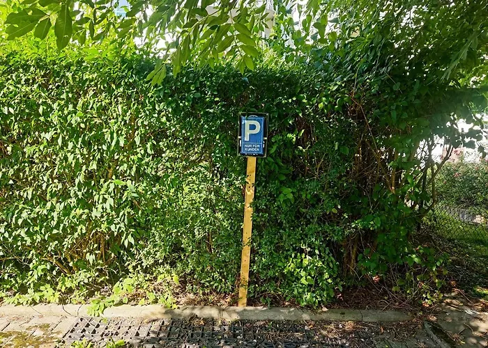 Saxonia De Luxe: Modern 2-room With Parking In Apartment Chemnitz